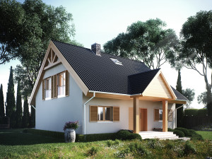 Exterior visualization single family house