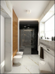 Tissu Architecture interior design - bathroom